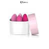 Kit de musculation pelvien FemmeFit